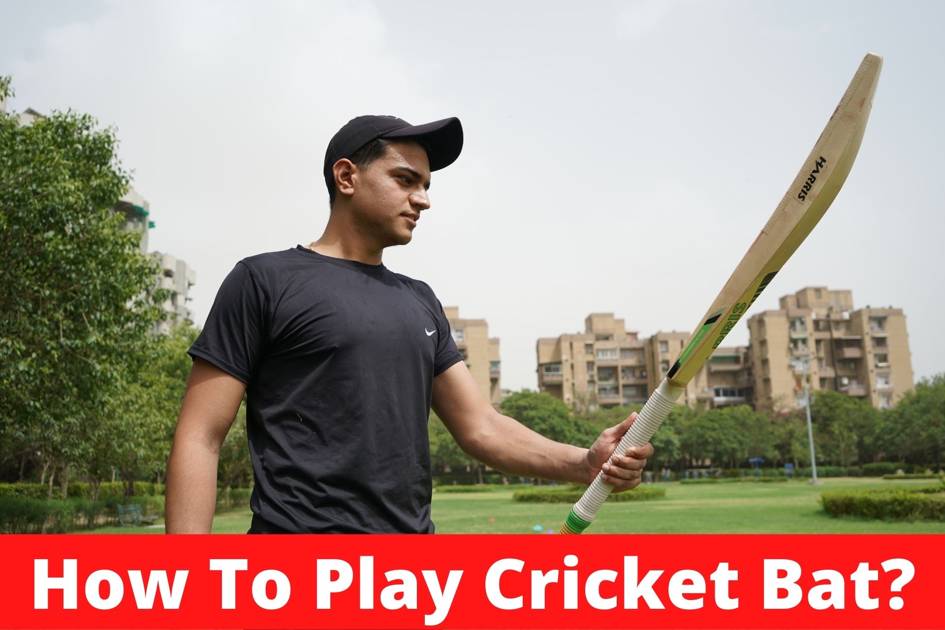 You are currently viewing How to Play Cricket with Bat?